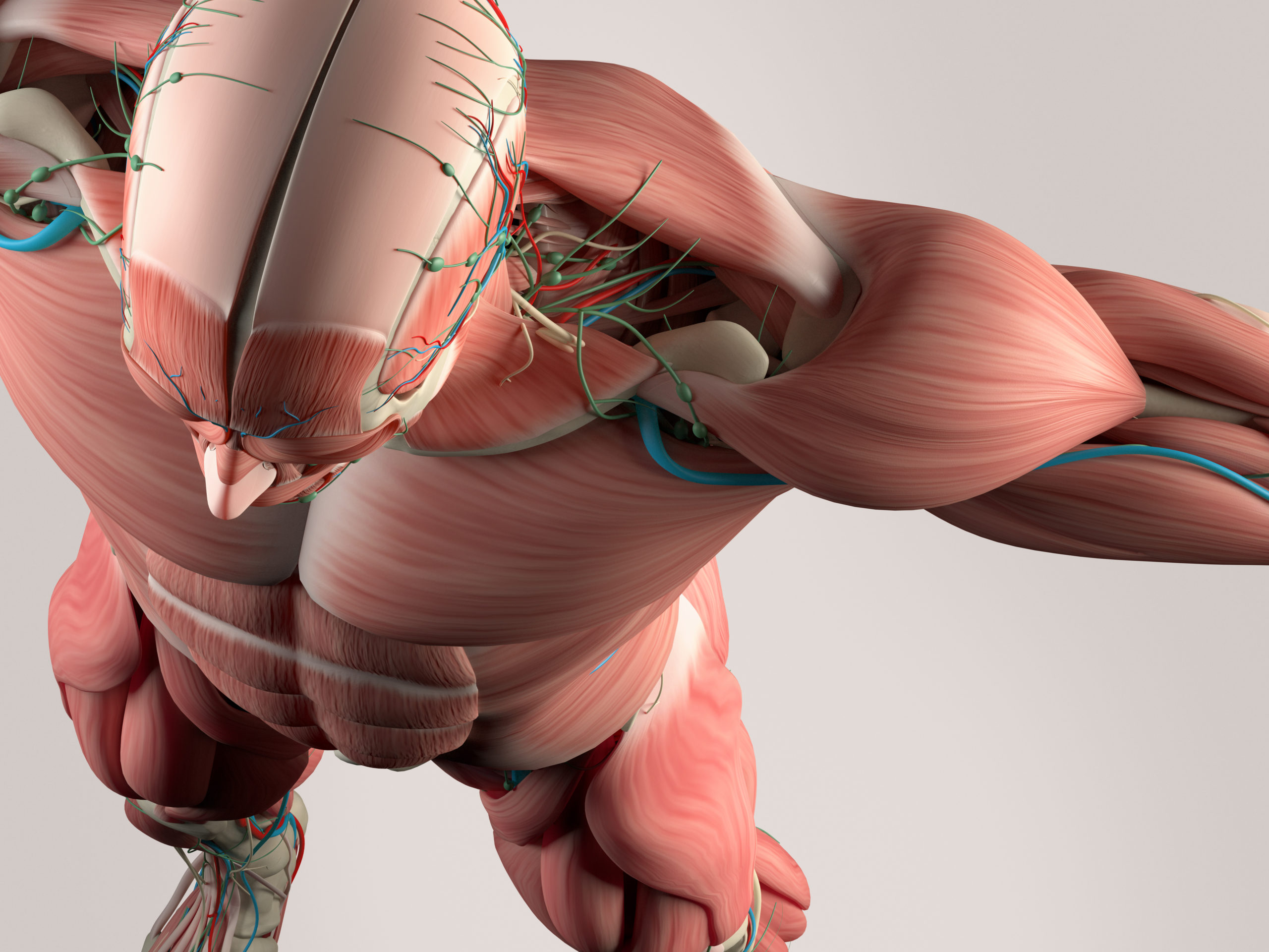 The Beginner's Guide to SCS Complete Body | The Jones Institute