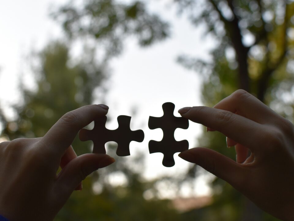 two puzzle pieces to symbolize the clinical application of Counterstrain